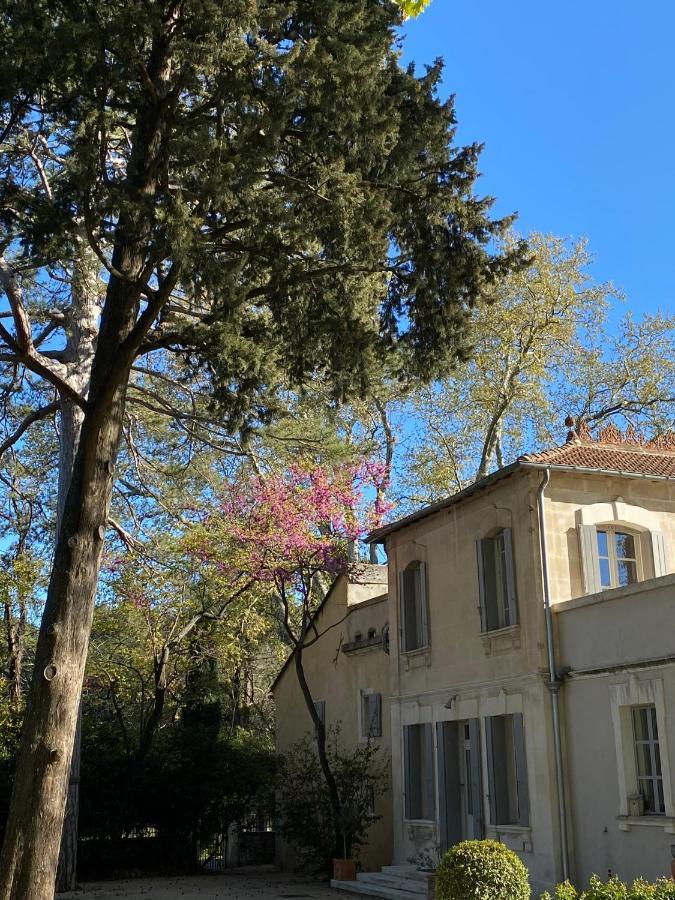 Ermitage Notre Dame De Vacquieres Bed & Breakfast Noves Eksteriør bilde